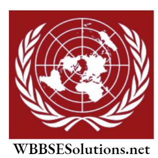WBBSE Solutions For Class 9 History Chapter 7 The League Of Nations And The United Nations Organization Flag of the UNO