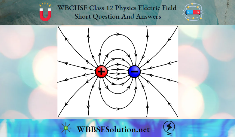 WBCHSE Class 12 Physics Electric Field Short Question And Answers