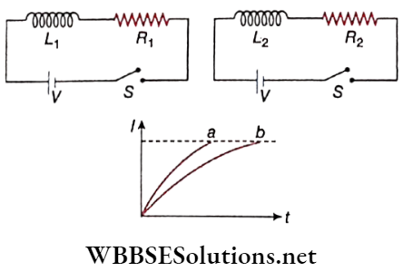 Alternating Current Two LR Circuits