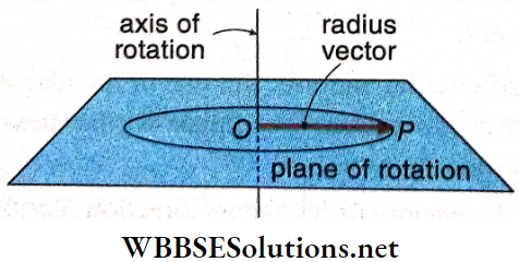 Circular Motion Radius Vector