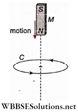 Electromagnetic Induction Falling Of A Magnet Through A Coil