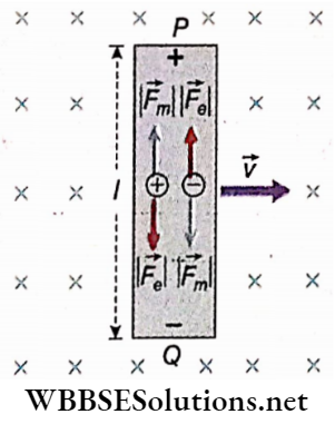 Electromagnetic Induction Uniform Magnetic Field Directed Along Y axis Vertically Downwards