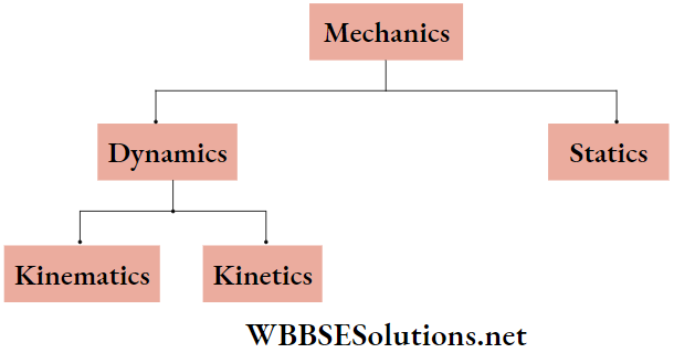 One Dimensional Motion Branches Of Mechanics