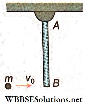 Rotation Of Rigid Bodies A uniform Rod AB Of Mass And Length Is Hung Is Celling