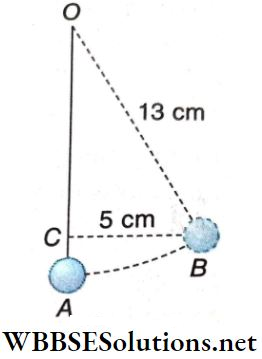 Work And Energy Mass Of Bob Of Simple Pendulum