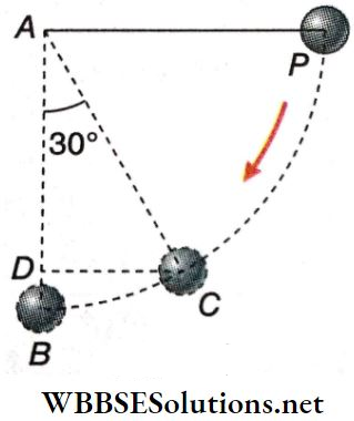 Work And Energy Mass Of The Bob Of A Pendulum