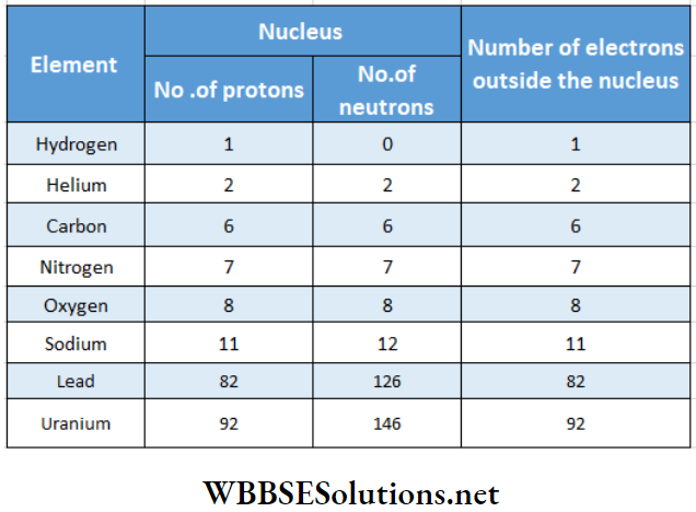 Atomic Nucleus Proton And Neutron Are Collectively