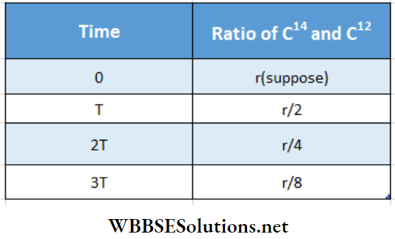 Atomic Nucleus Ratio Of C12 And C14