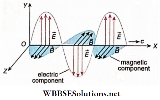 Electromagnetic Waves Self-Sustaining Electromagnetic Waves Travel Through Space