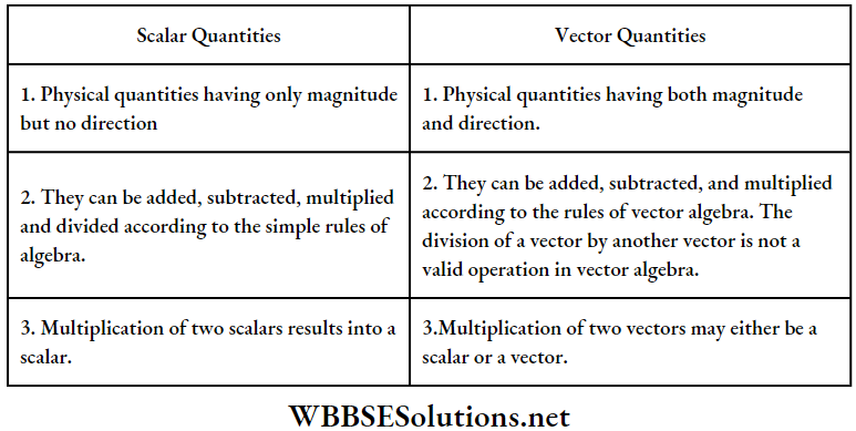 Vector Differences between Scalar And Vector Quantities