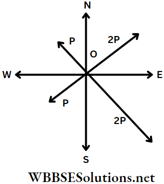 Vector Four Forces Of A Vector