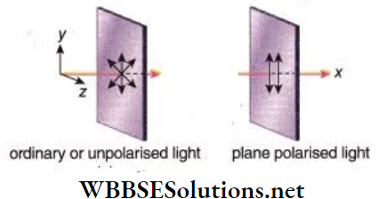 Class 12 Physics Unit 6 Optics Chapter 7 Diffraction And Polarisation Of Light Directions In The Plane