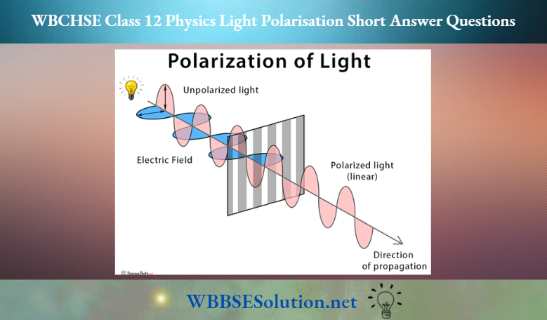 WBCHSE Class 12 Physics Light Polarisation Short Answer Questions