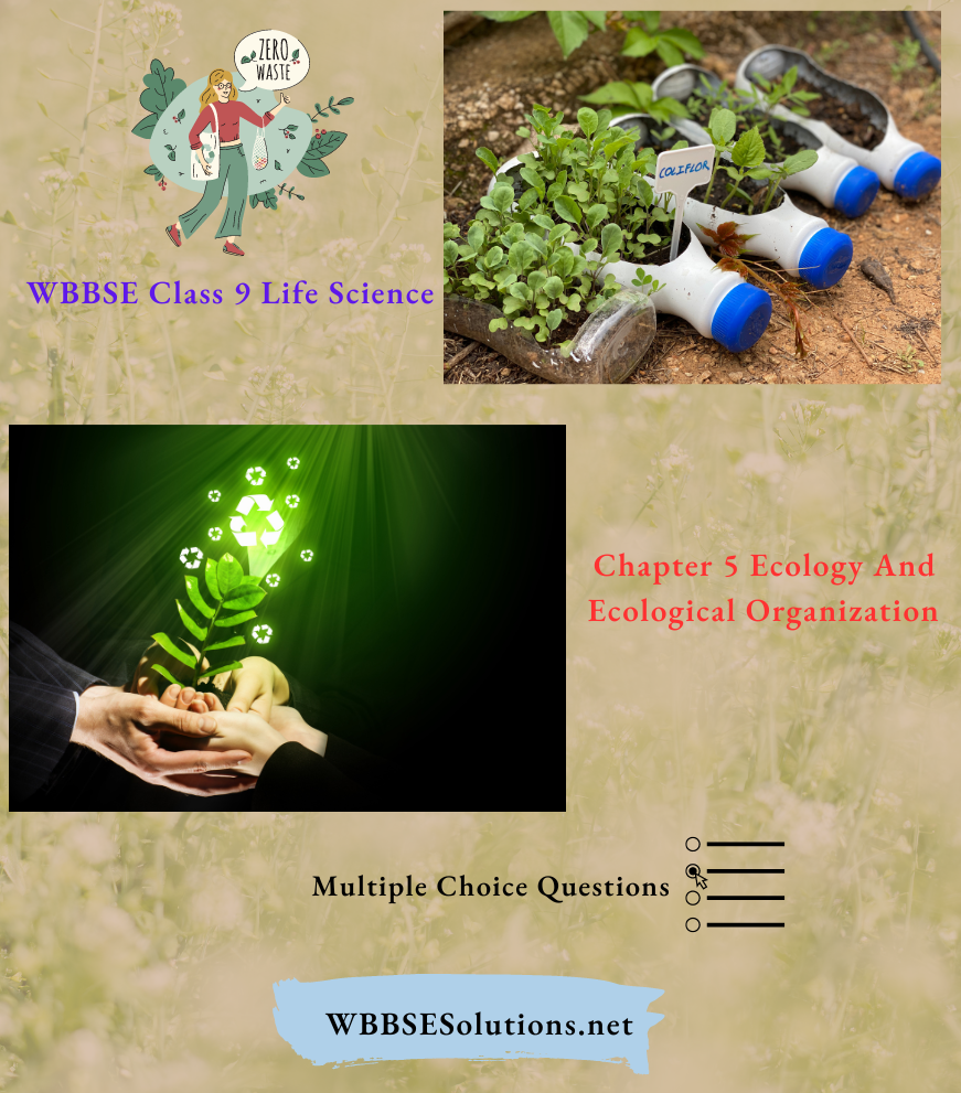 WBBSE Class 9 Life Science Chapter 5 Ecology And Ecological Organization Multiple Choice Questions