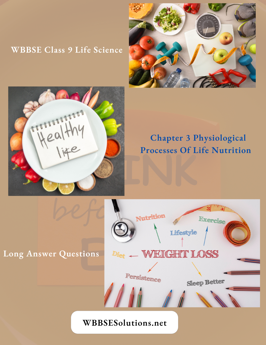 WBBSE Class 9 Life Science Chapter 3 Physiological Processes Of Life Nutrition Long Answer Questions